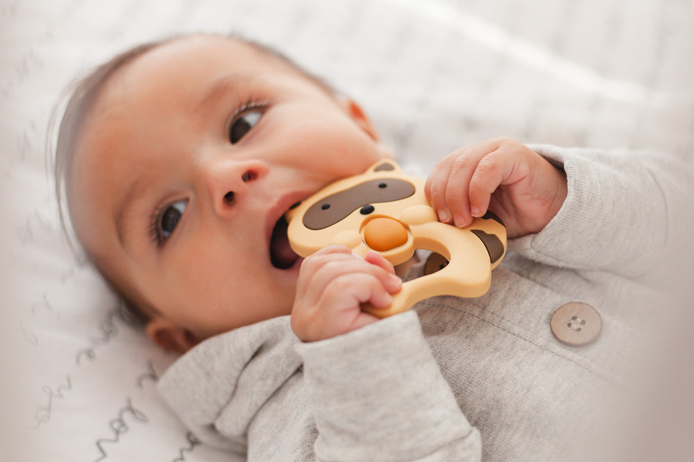 Raccoon Teether // Brown