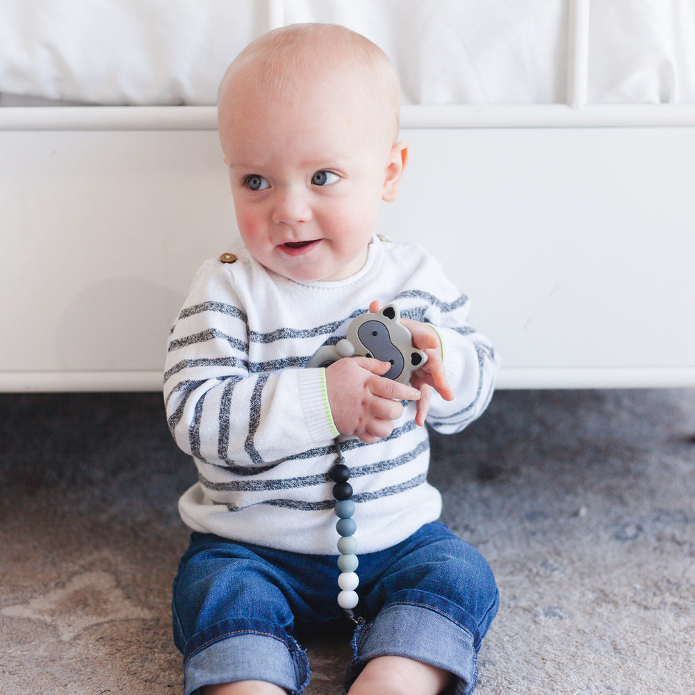 Raccoon Teether & Pacifier Clip Set // Gray